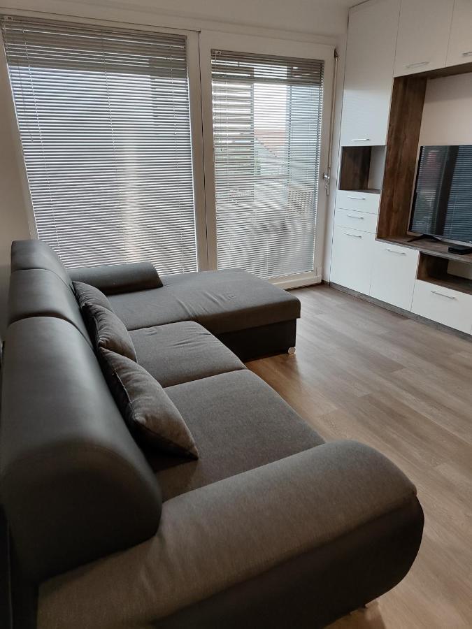 Family Apartment Moravske Toplice Bagian luar foto