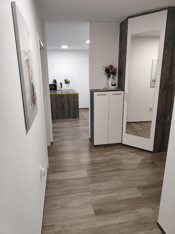 Family Apartment Moravske Toplice Bagian luar foto