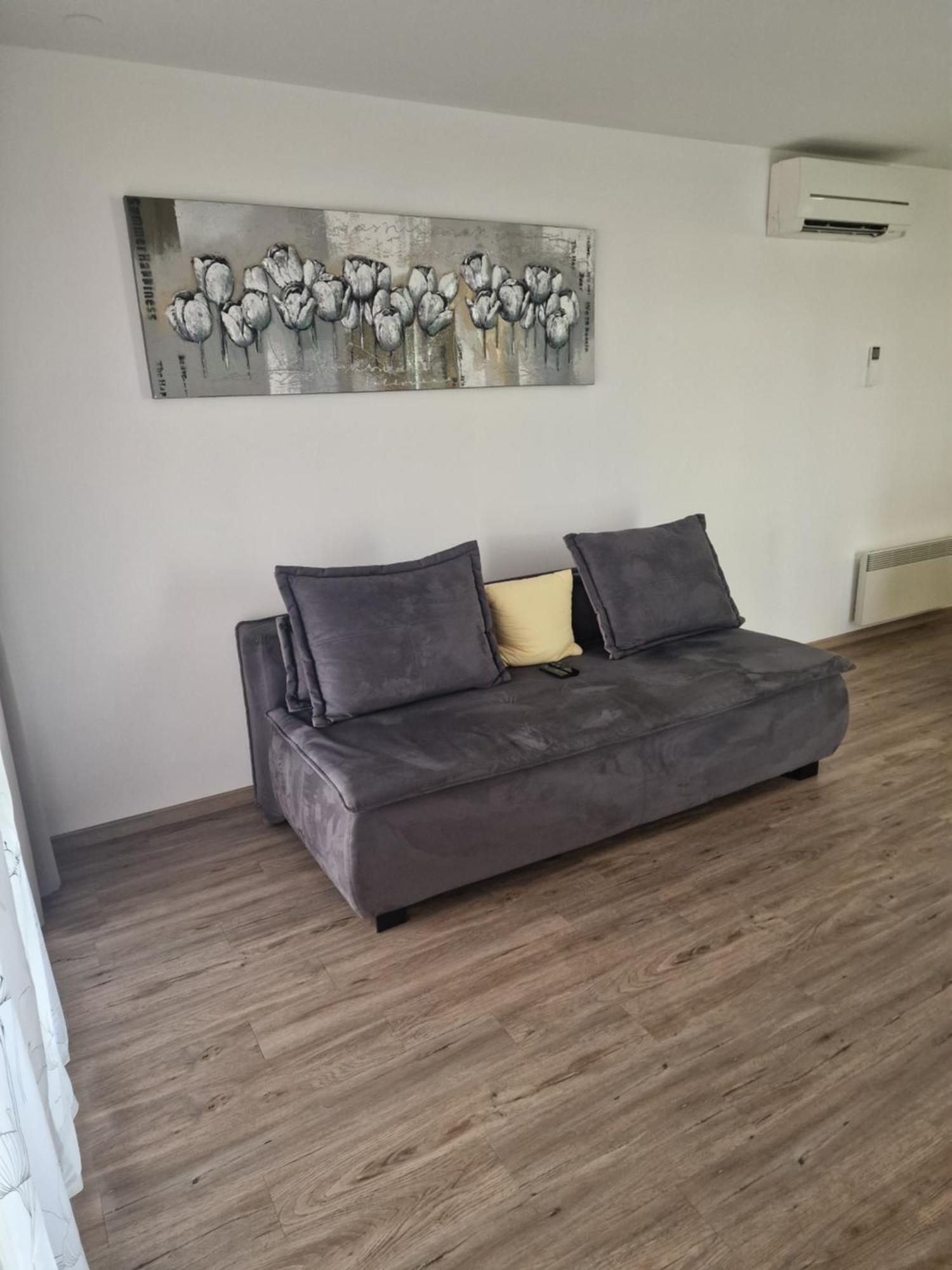 Family Apartment Moravske Toplice Bagian luar foto
