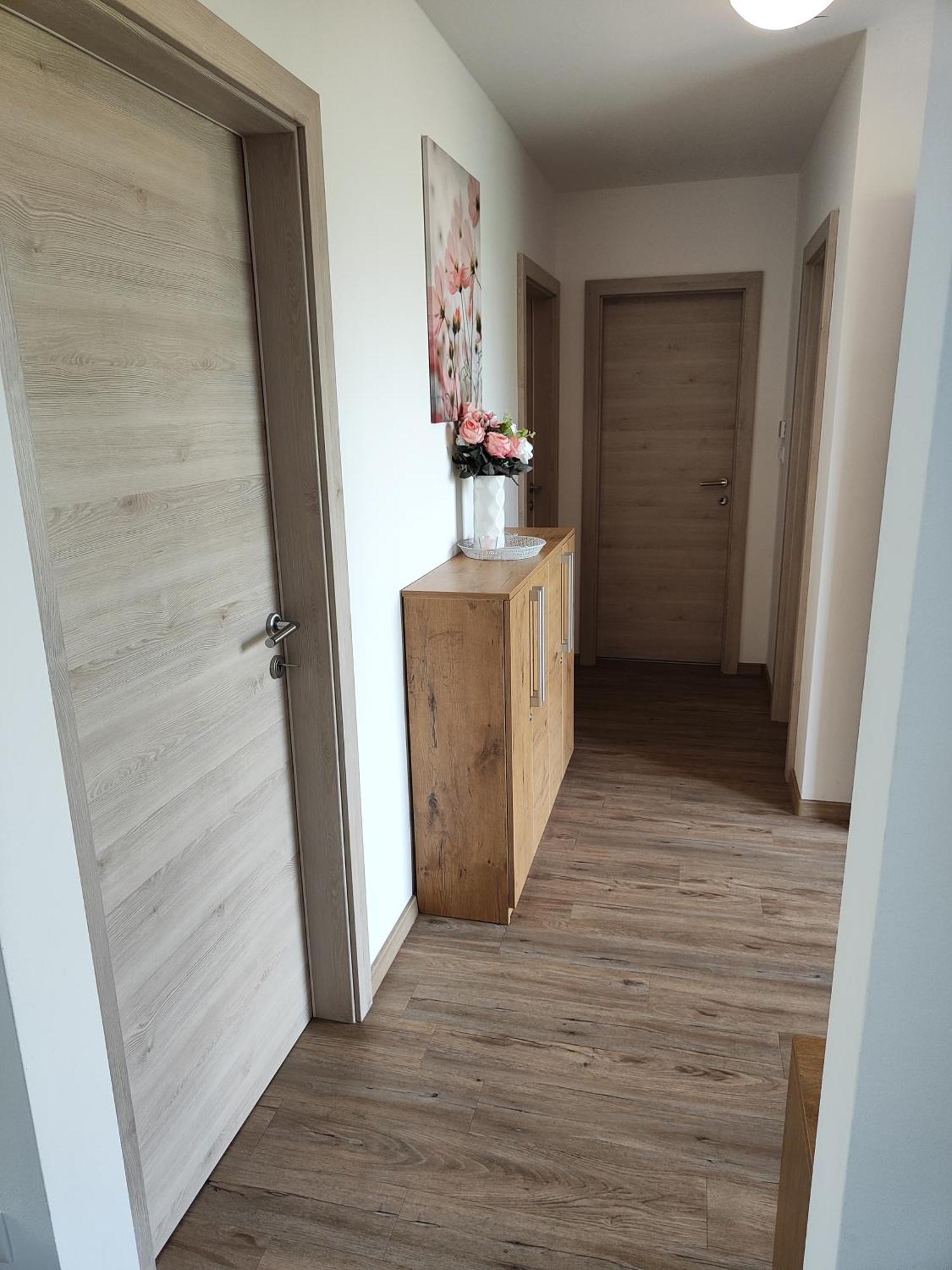 Family Apartment Moravske Toplice Bagian luar foto